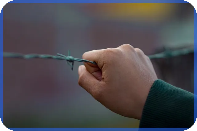 청년 전세대출 금리 조건 완전 정리