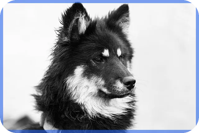 펜션사업 시작하기 핵심 전략과 법적 가이드