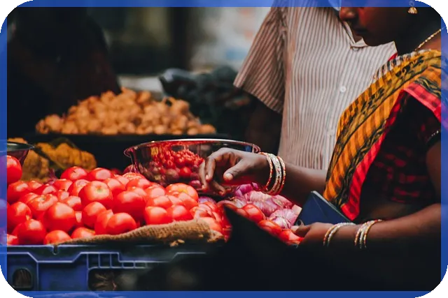 펜션사업 시작하기 핵심 전략과 법적 가이드
