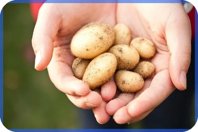 펜션사업 시작하기 핵심 전략과 법적 가이드