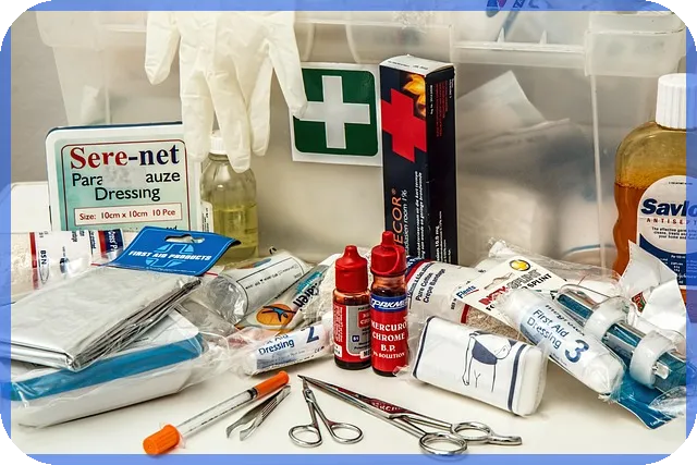 펜션사업 시작하기 핵심 전략과 법적 가이드