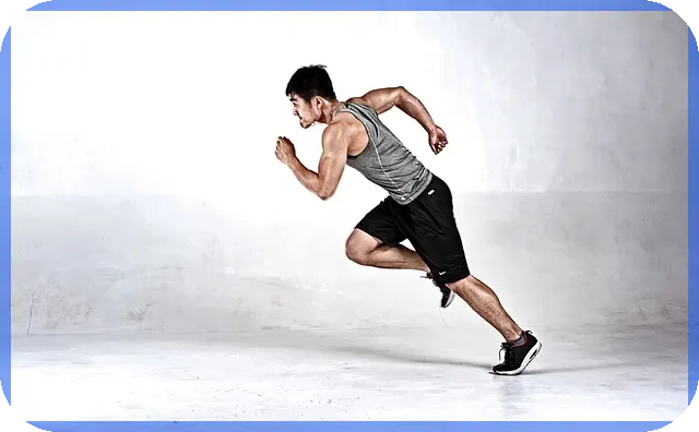 펜션사업 시작하기 핵심 전략과 법적 가이드