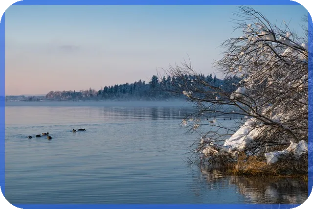 1억 전세대출 한달 이자 계산법과 2025년 전망