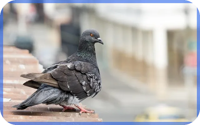 lh전세대출 조건으로 주거비 줄일 수 있을까