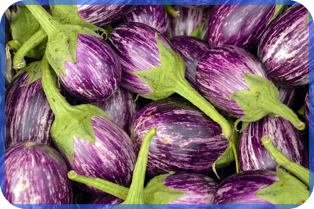 기업은행 주택담보대출 필요서류와 금리 한도 총정리