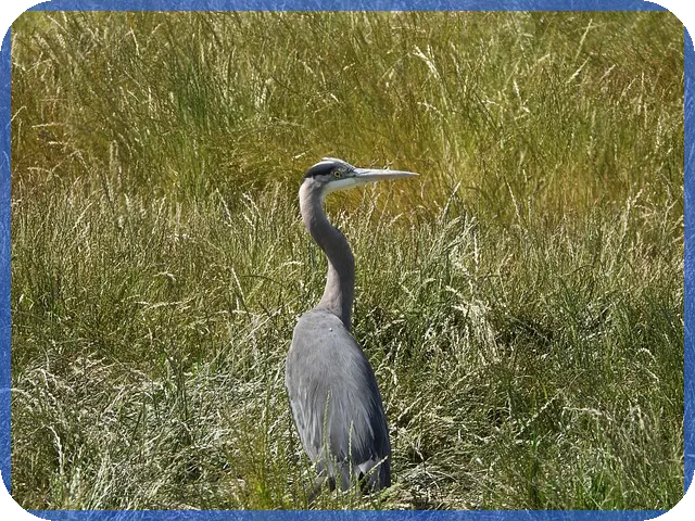 기업은행 주택담보대출 필요서류와 금리 한도 총정리