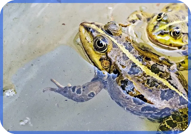 기업은행 주택담보대출 필요서류와 금리 한도 총정리
