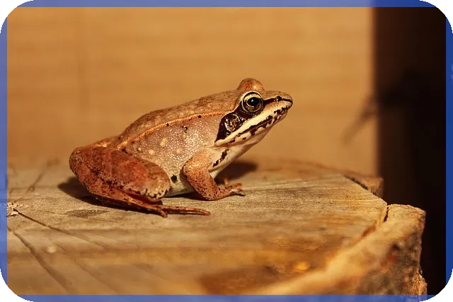 농협 주택담보대출 필요서류 함께 준비하는 방법