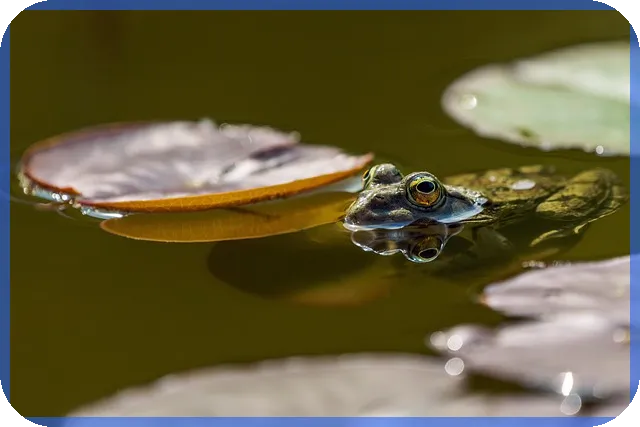 대구은행햇살론뱅크 신청 실패 원인과 해결 방법