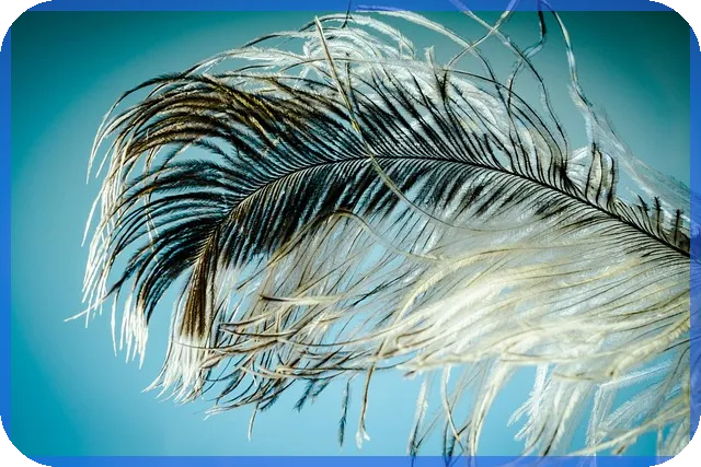 대구은행햇살론뱅크 신청 실패 원인과 해결 방법