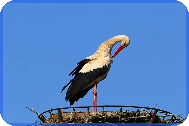 대출 청약철회가 중요한 이유는 무엇일까