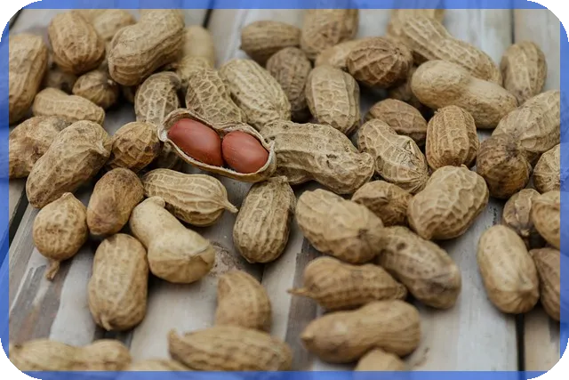 대출금 상환 확인서 발급 방법과 필요성 궁금증 해결