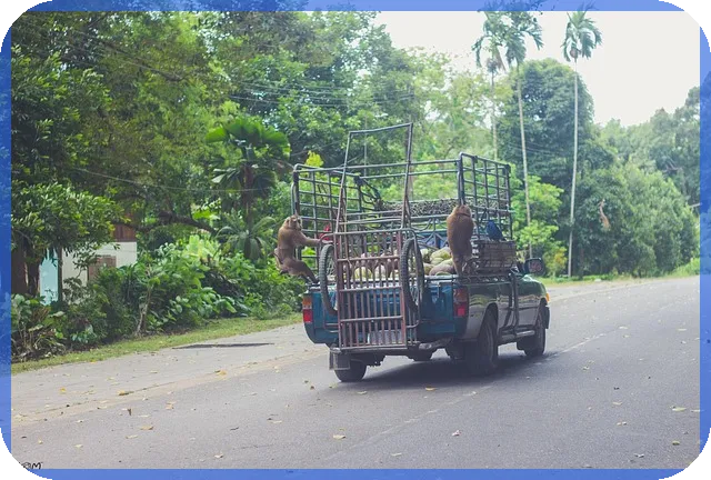 대출금 상환 확인서 발급 방법과 필요성 궁금증 해결