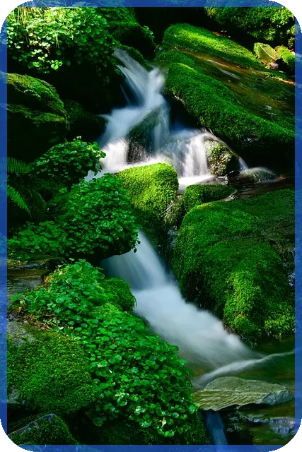 대출금 상환계획서 작성법과 핵심 체크포인트 탐구