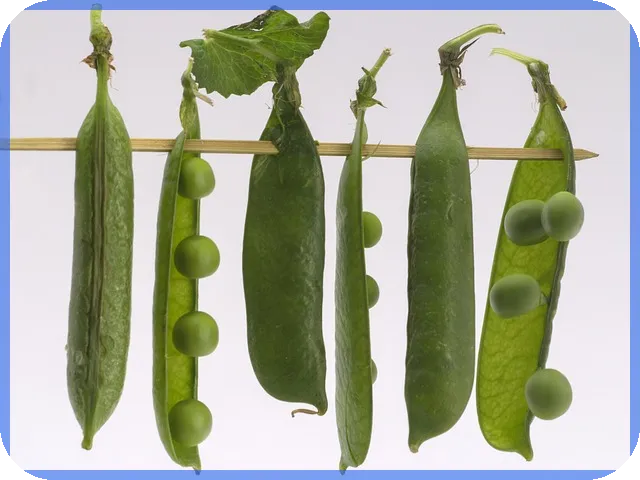 대출금 상환계획서 작성법과 핵심 체크포인트 탐구