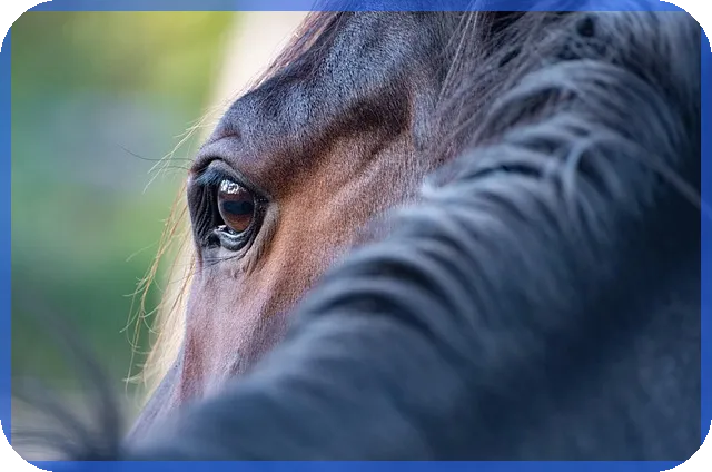 대출조회신용점수 하락 없나요 신용점수 영향완전 분석