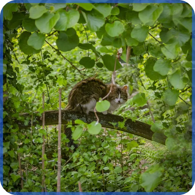 경기도 북부권 상가대출한도 알아보기 최신 대출조건과 계산법