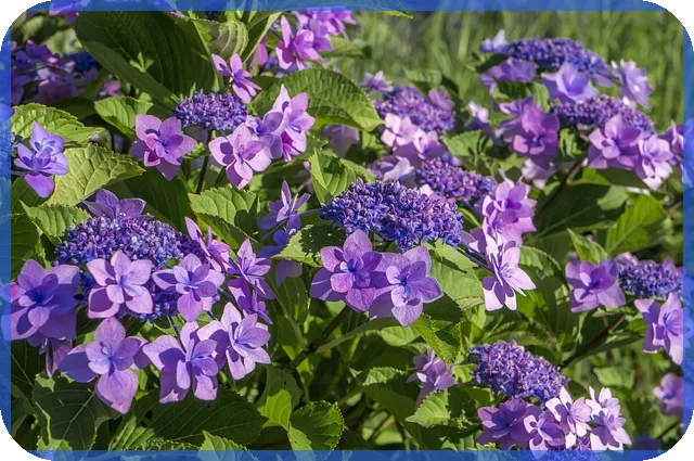 경기도 북부권 상가대출한도 알아보기 최신 대출조건과 계산법