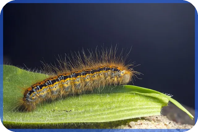 대출확약서 작성 및 핵심 내용 완전 정리