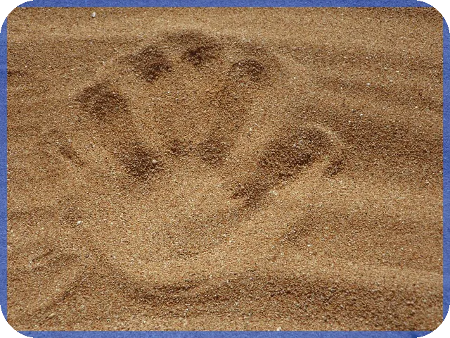 대출확약서 작성 및 핵심 내용 완전 정리