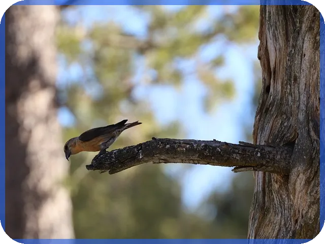 신규분양 아파트 담보대출 최대한도 확보하는 방법