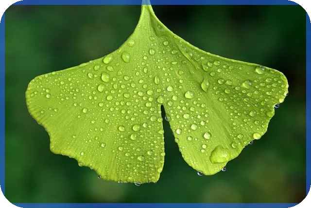 신생아 특례 대출 조건 및 신청하기를 알아보세요