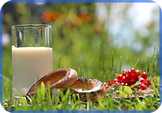 신생아 특례대출 대환 방공제 혜택 총정리