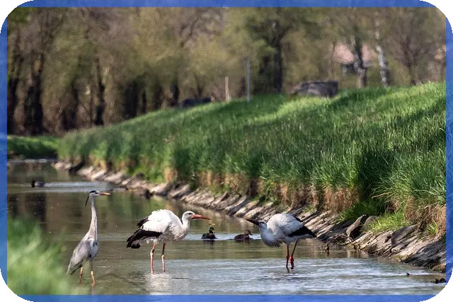 신생아 특례대출 대환 방공제 혜택 총정리