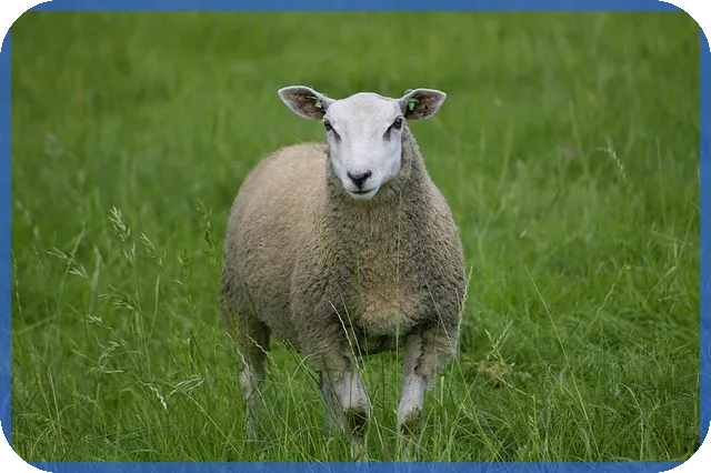 신용대출 인지세 절감 방법은?