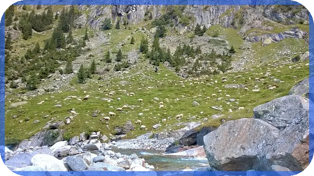 아파트 대출이자 연말정산 공제, 그 조건은?