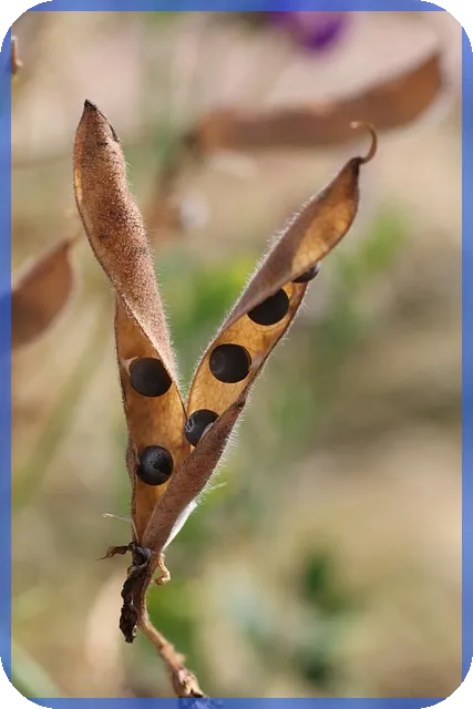 전세자금대출 상환 이 방법이 믿을 만할까