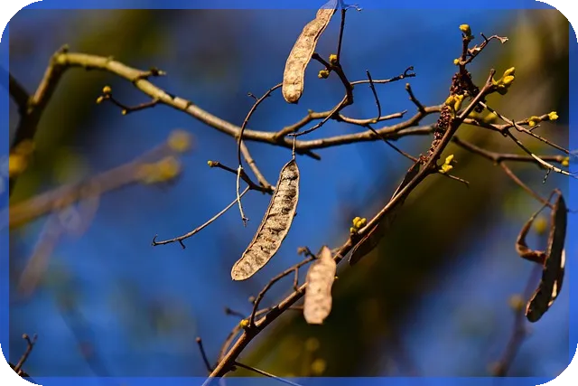 전세자금대출 상환 이 방법이 믿을 만할까