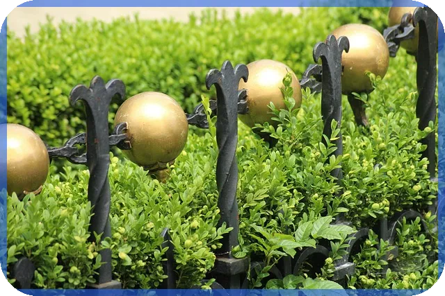 주부과다대출자대출가능한곳 은행과 업체별 대출 전략