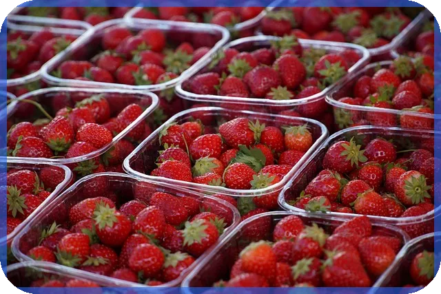 주식장마감시간 핵심 정리와 투자 전략 필수요소