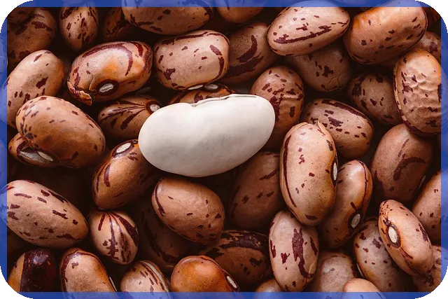 주택담보대출 대환 디딤돌과 조건금리 완벽 가이드