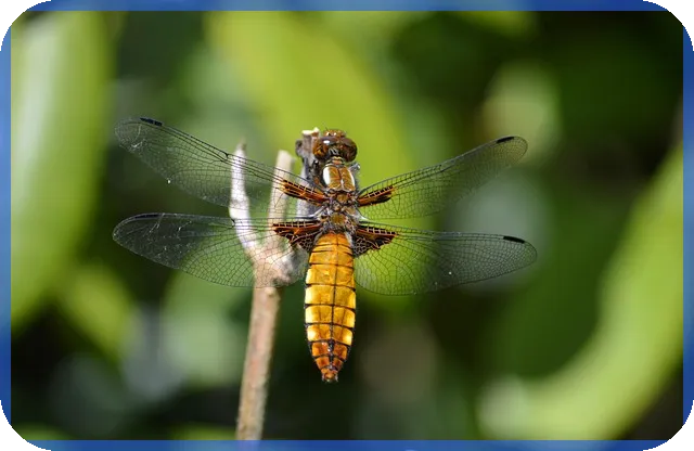주택담보대출 대환으로 낮은 금리 갖기