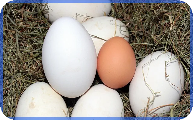 천만원 대출이자와 상환 방법 궁금하신가요