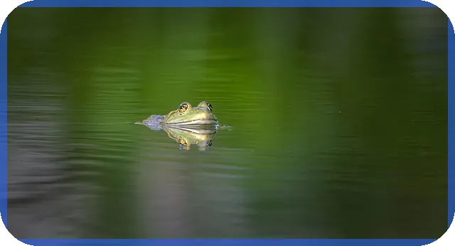 햇살론뱅크조건 알아보세요 금융 혜택 최대한 활용하는 방법