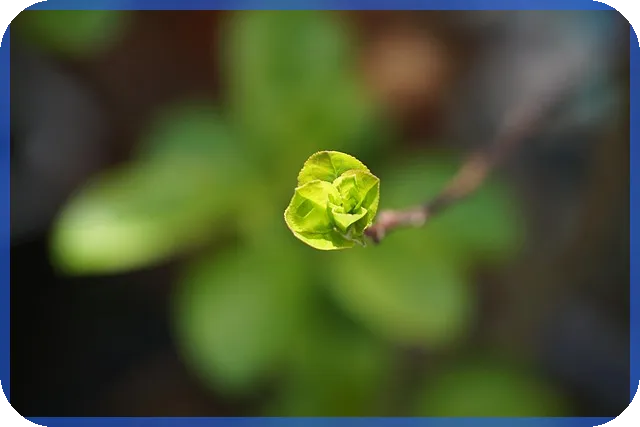 햇살론유스보증료 대출 궁금증과 해결 방법