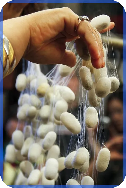 DB마케팅 실전 세팅 가이드로 전환율 극대화하기