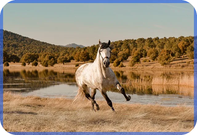 DB마케팅 실전 세팅 가이드로 전환율 극대화하기