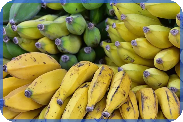 녹십자주가 상승 비밀과 실적개선 전략