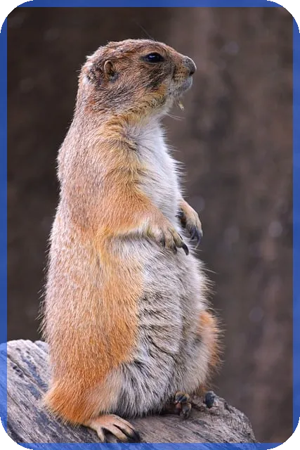 녹십자주가 상승 비밀과 실적개선 전략