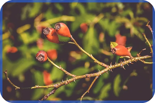 녹십자주가 상승 비밀과 실적개선 전략