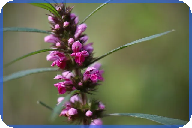 메타버스부동산 투자 2025년 실전 전략 핵심 공개