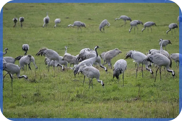 메타버스부동산 투자 2025년 실전 전략 핵심 공개
