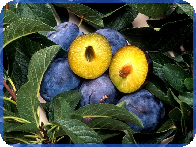 반도체후공정관련주 성장 전망과 투자 전략