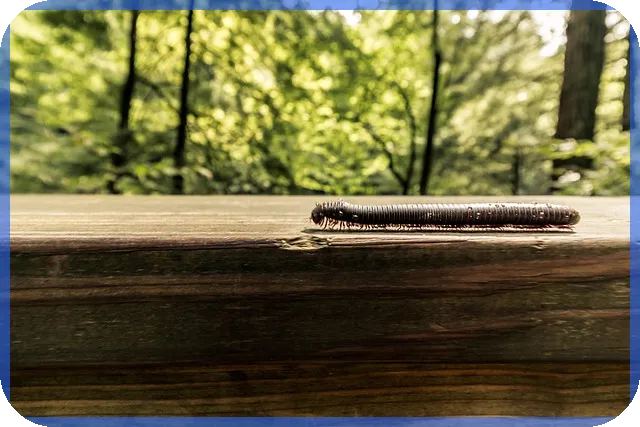 반도체후공정관련주 성장 전망과 투자 전략