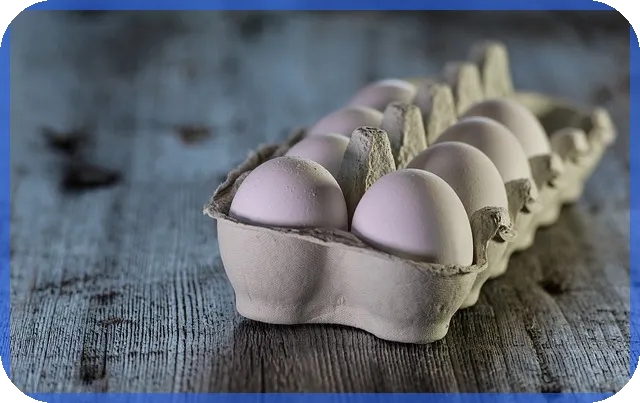 반도체후공정관련주 성장 전망과 투자 전략