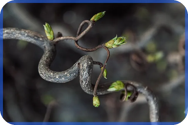보험사적금 안정적 재무 설계 방법은 무엇인가